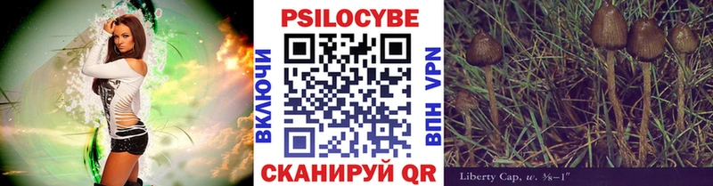 как найти наркотики Никольское Галлюциногенные грибы мицелий
